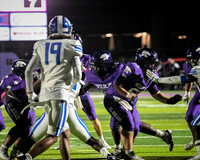 Christaveon Meadows #66